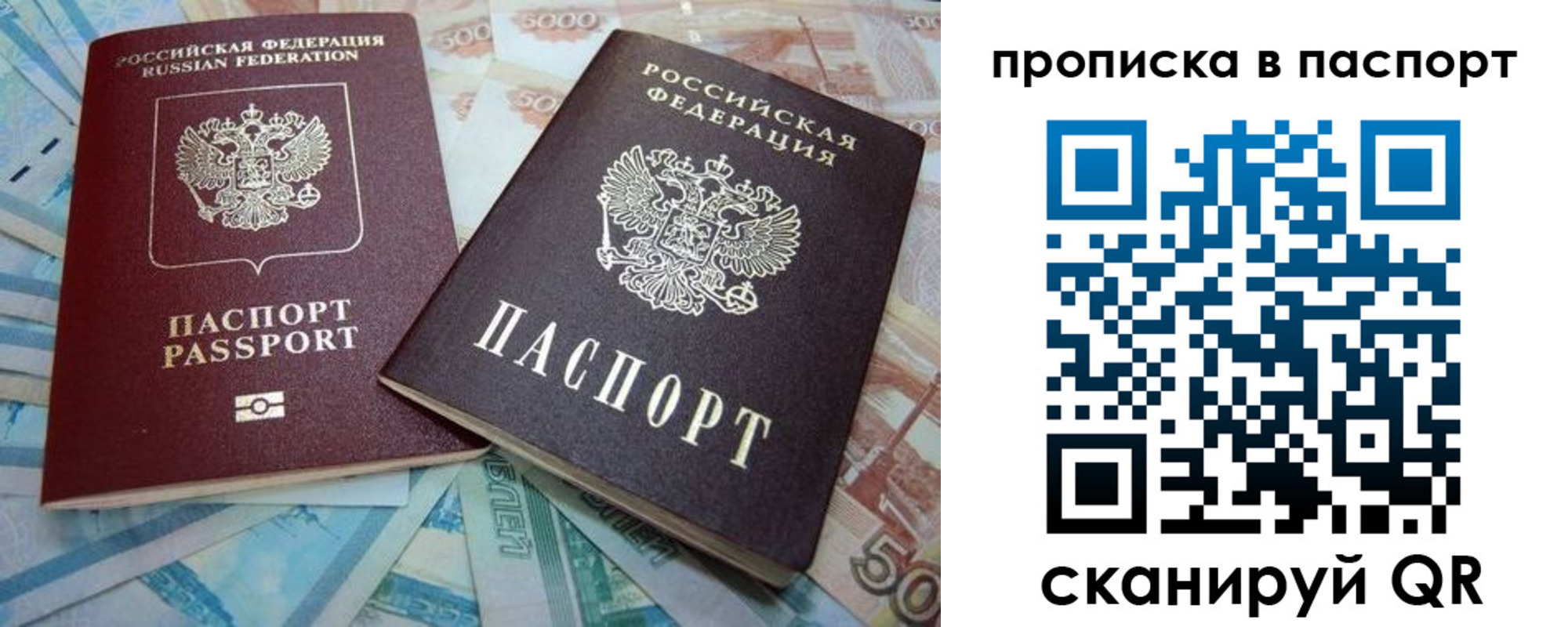 прописка поиск в Сельцо